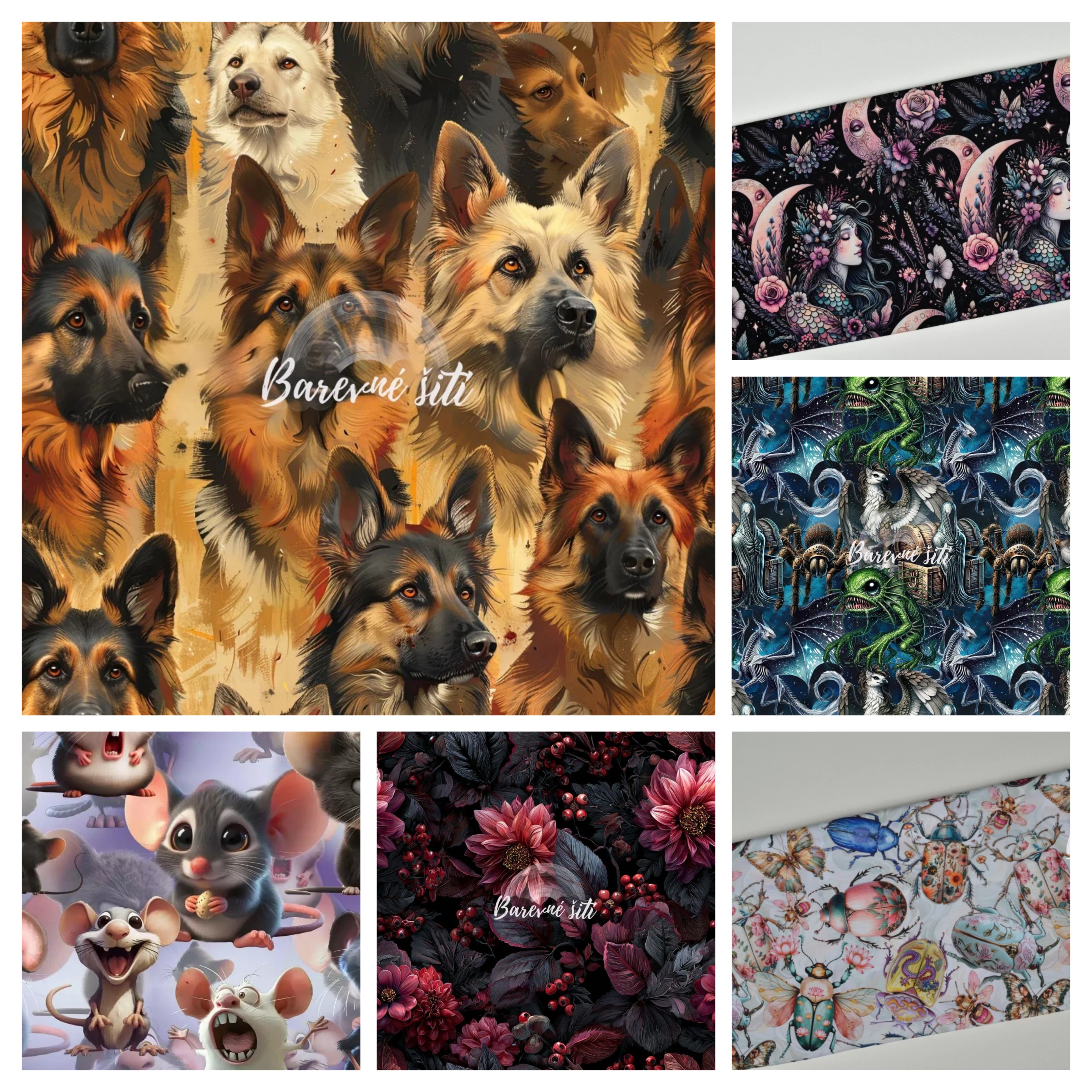 20260131_101803-COLLAGE